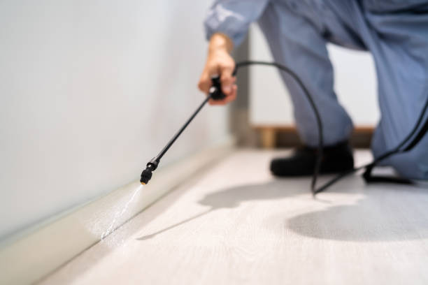 Licensed Pest Control service in Fair Lakes, VA - Show Me Pest Control
