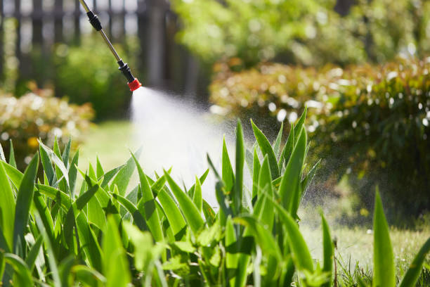 24/7 Emergency Mosquito Control experts in Fair Lakes, VA
