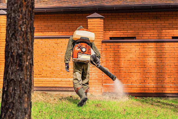 Top rated local Mosquito Control specialists in Fair Lakes, VA